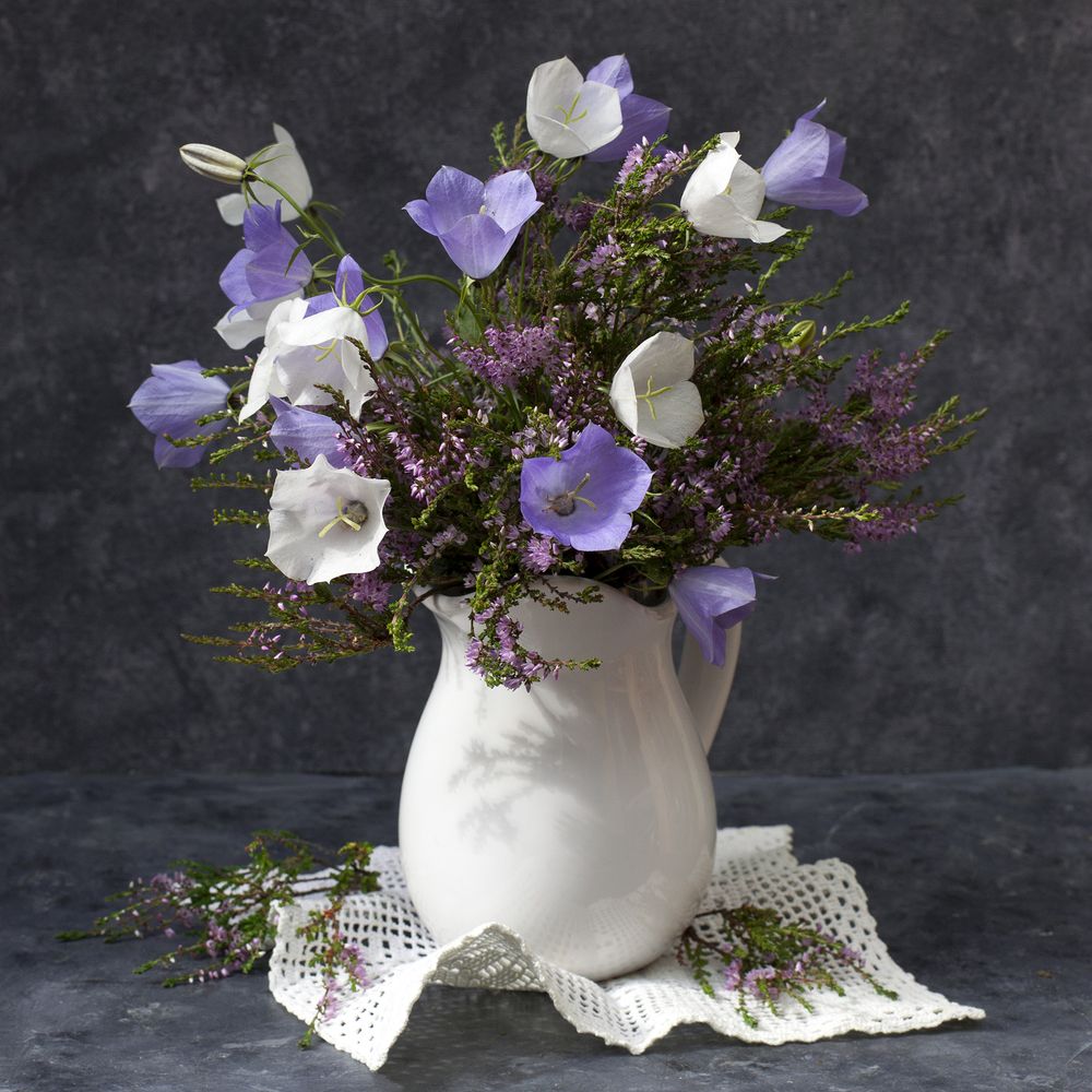 Photograph by Галина Щипакина