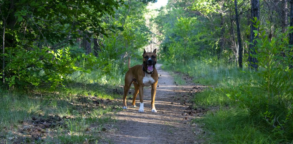 Photograph by Михаил Доргов