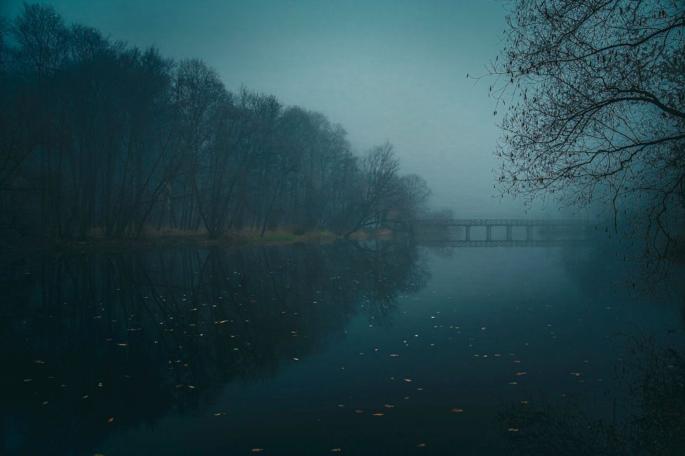 Photograph by Алексей Шевченко