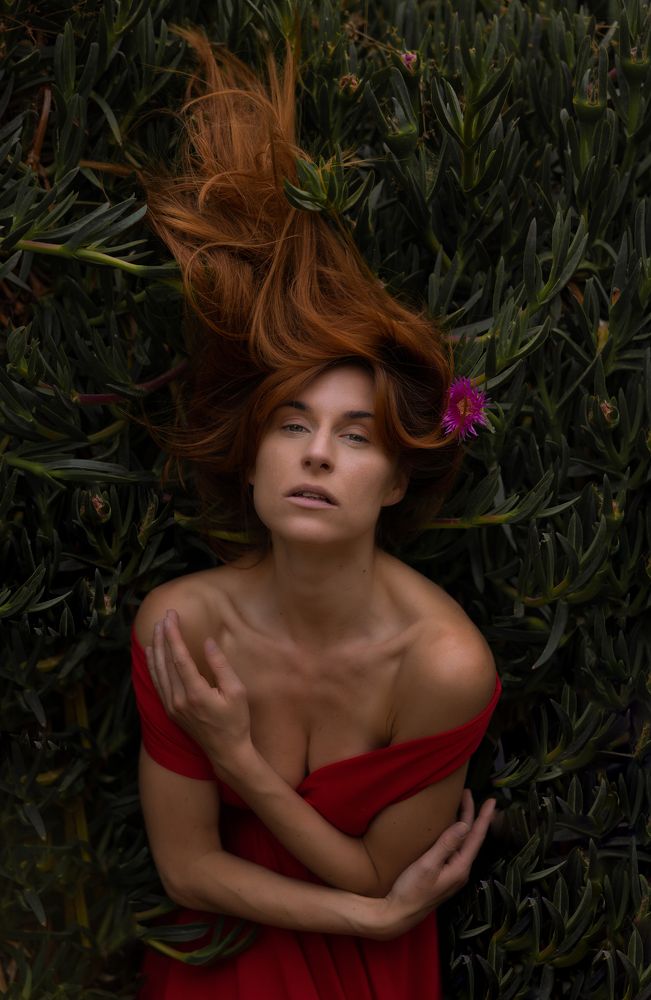 Photograph by Idit Profeta Ron