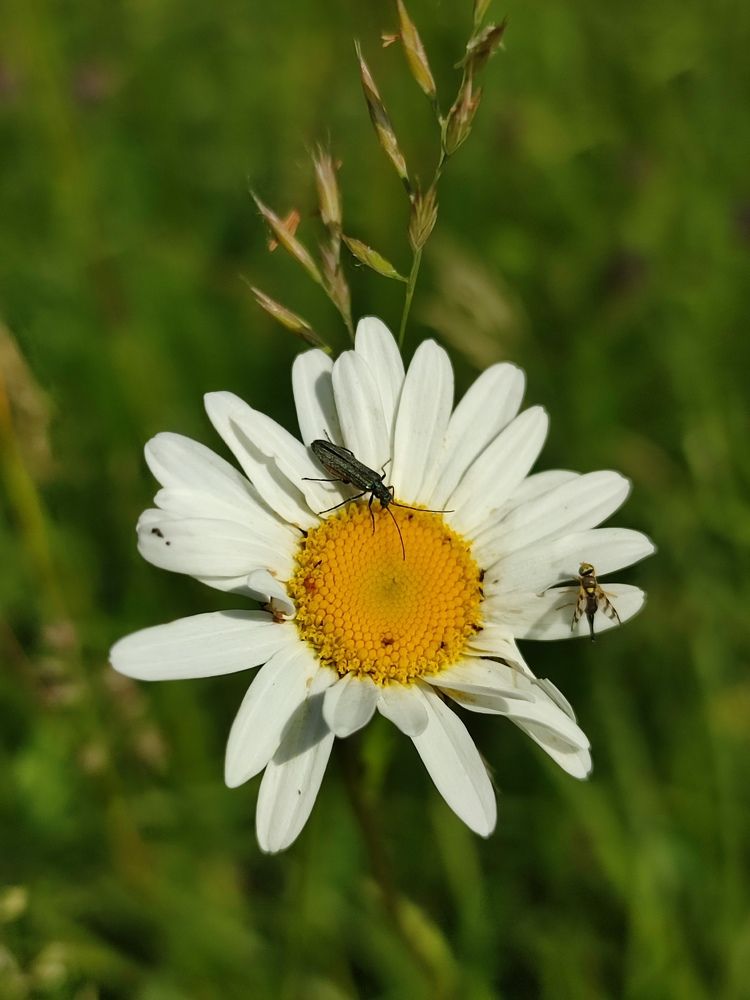 Photograph by Лолита Богачева
