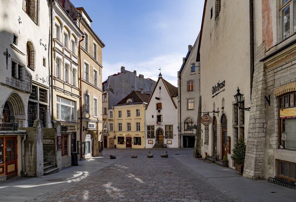 Photograph by Susanna Kari