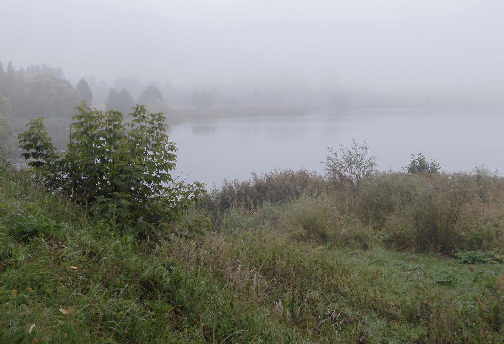 Photograph by Игорь Смирнов