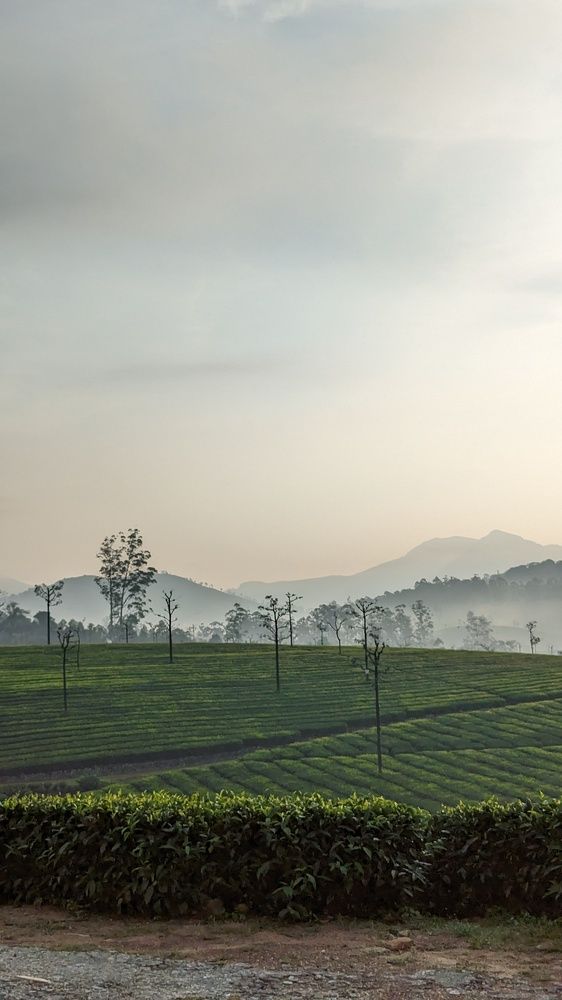 Photograph by Sai udeep sagar Yadalla