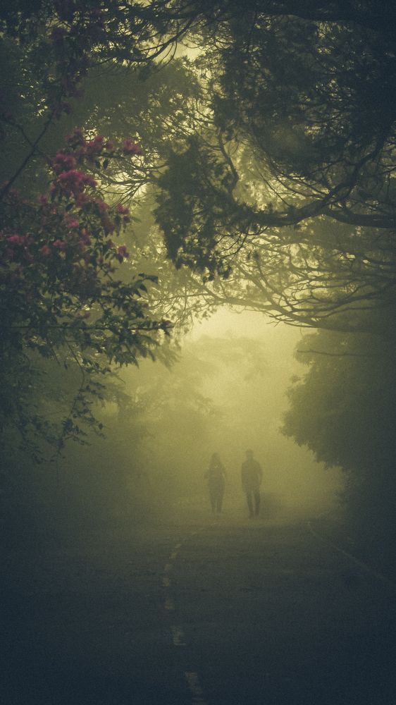 Photograph by Sai udeep sagar Yadalla