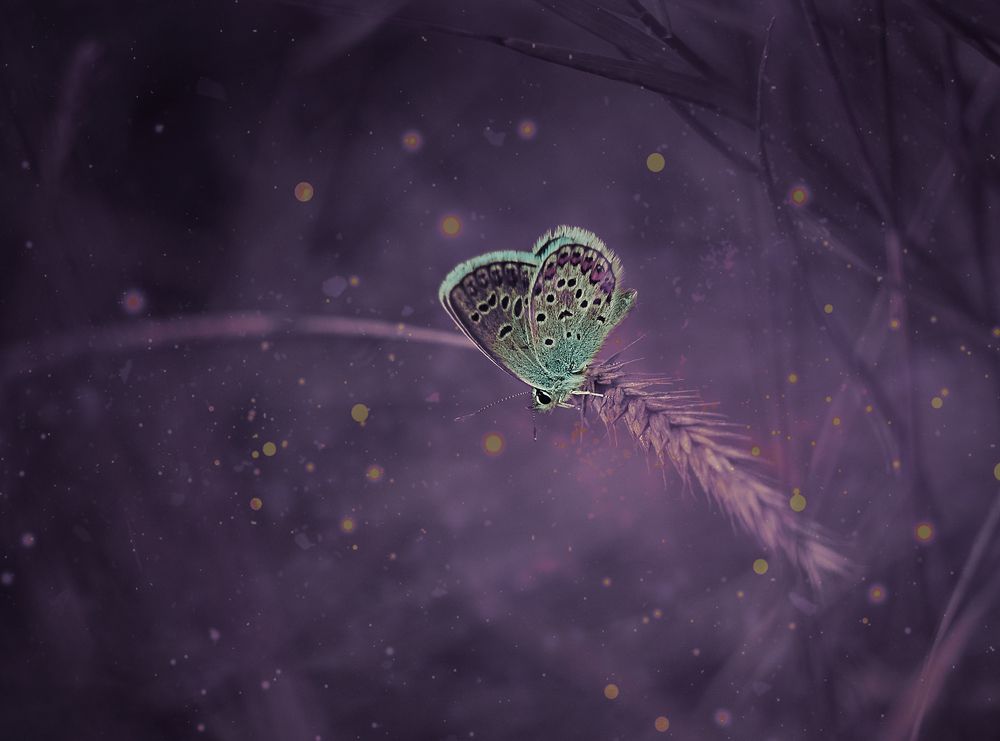 Photograph by Natalia Bolotenkova