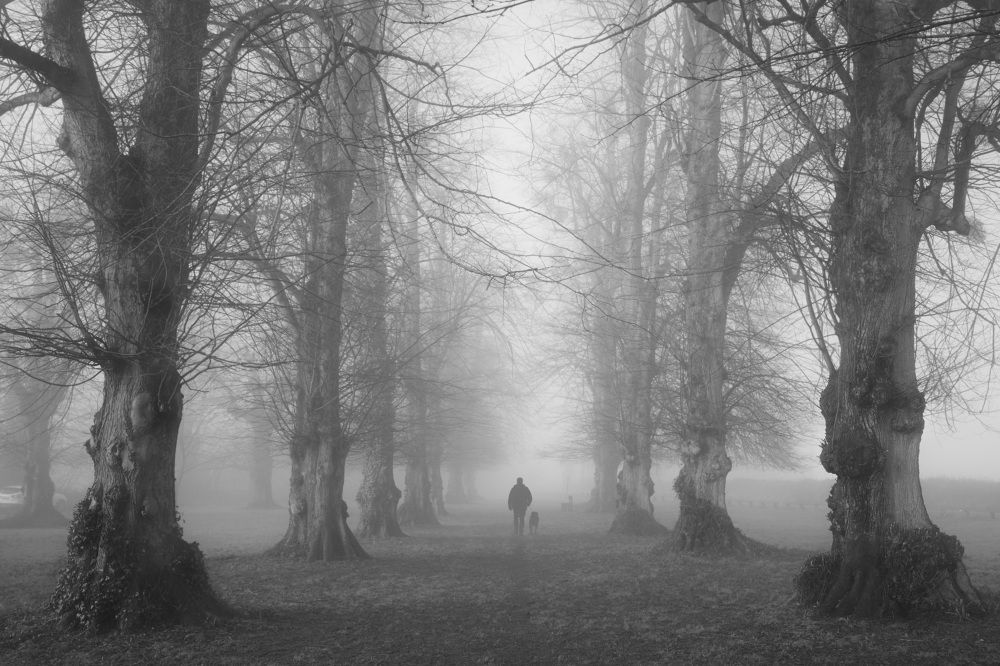 Photograph by Aljona Dyachenko