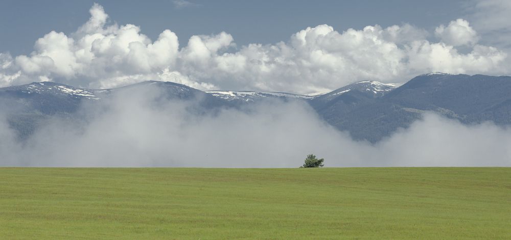 Photograph by Taтьяна Войлокова