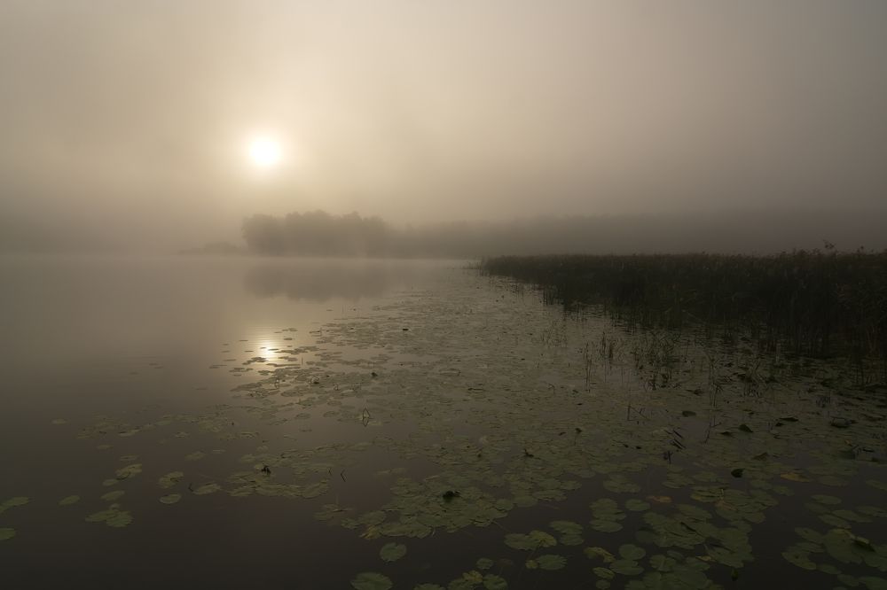 Туманное утро на Яльчике