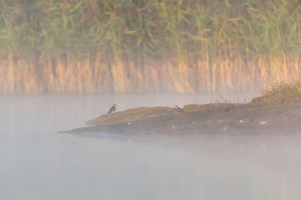 Photograph by Екатерина Нестерова