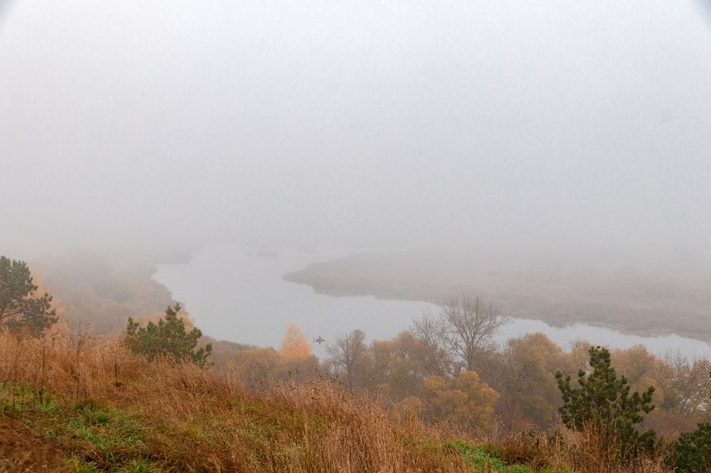 Photograph by Дмитрий Тимин