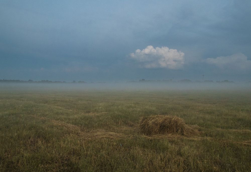 Photograph by Дмитрий Тимин