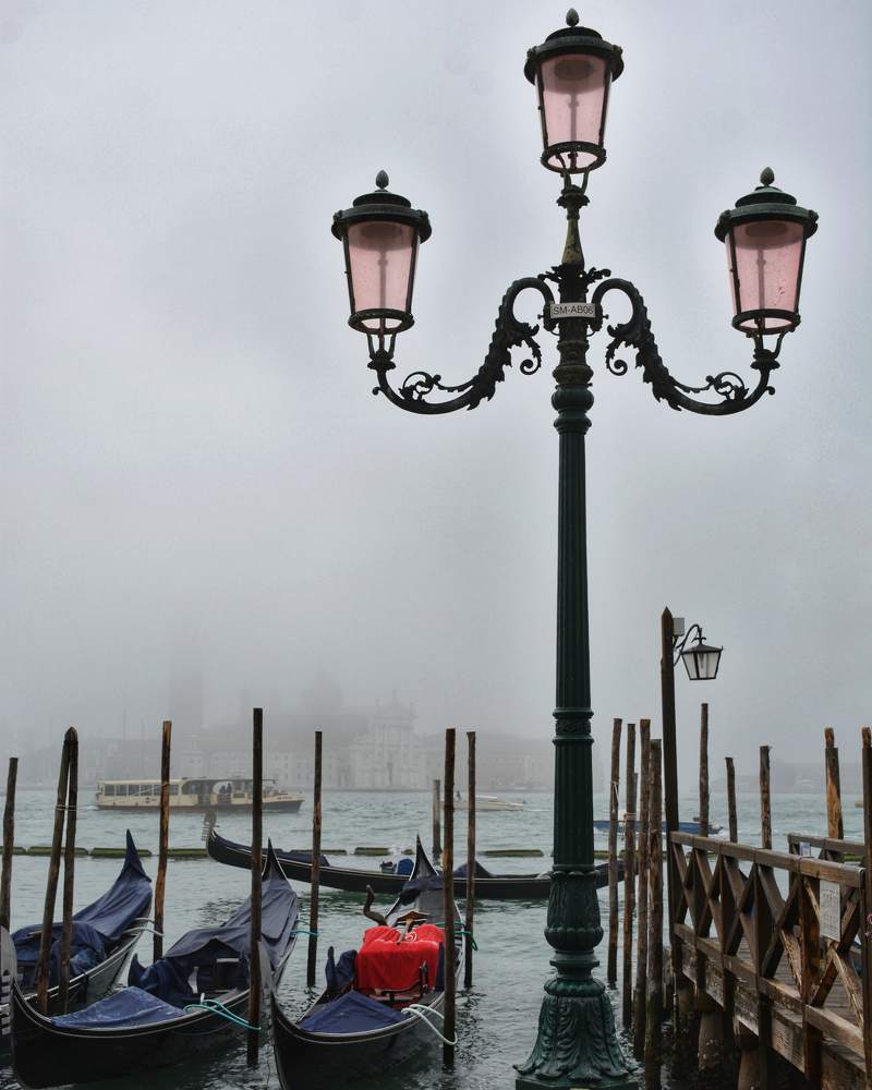 Фотография автора ANNA ILICHEVA