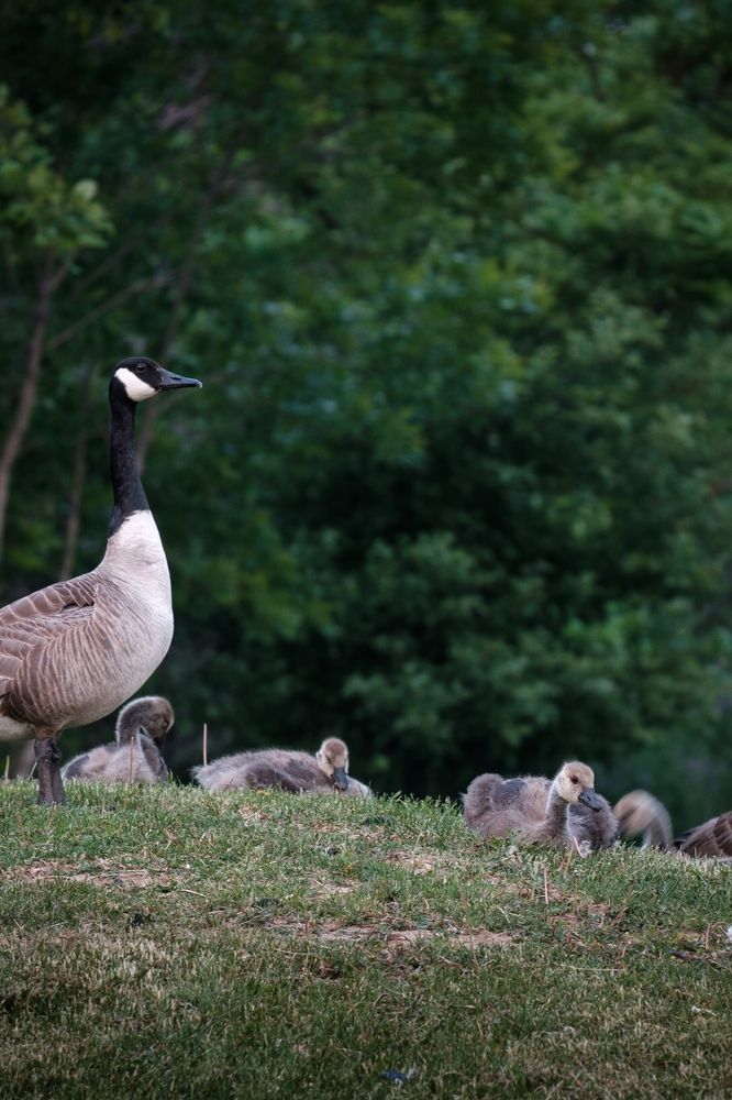 Photograph by Greg Noakes