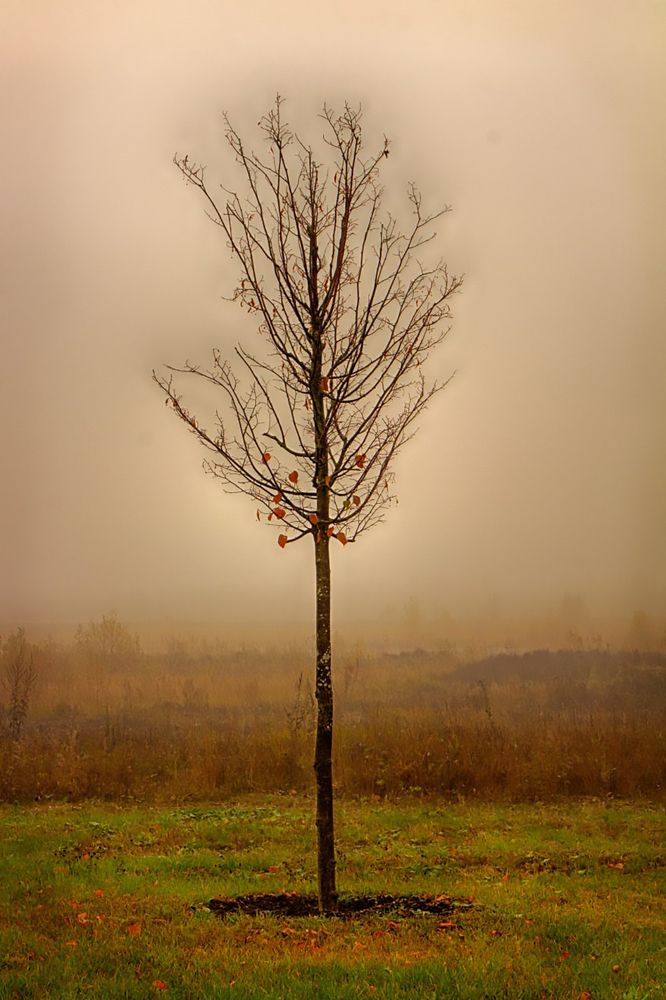 Photograph by Анна Липоткина