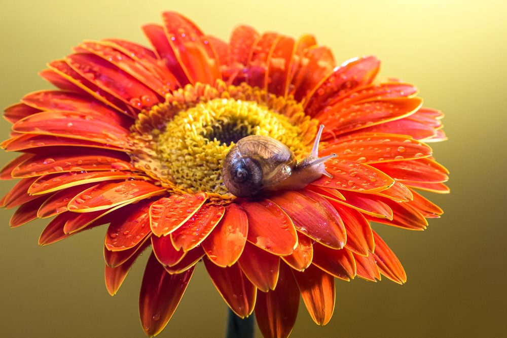 Photograph by Sosa Betsabé