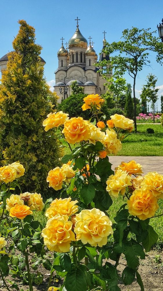 Photograph by Ирина Подосинникова