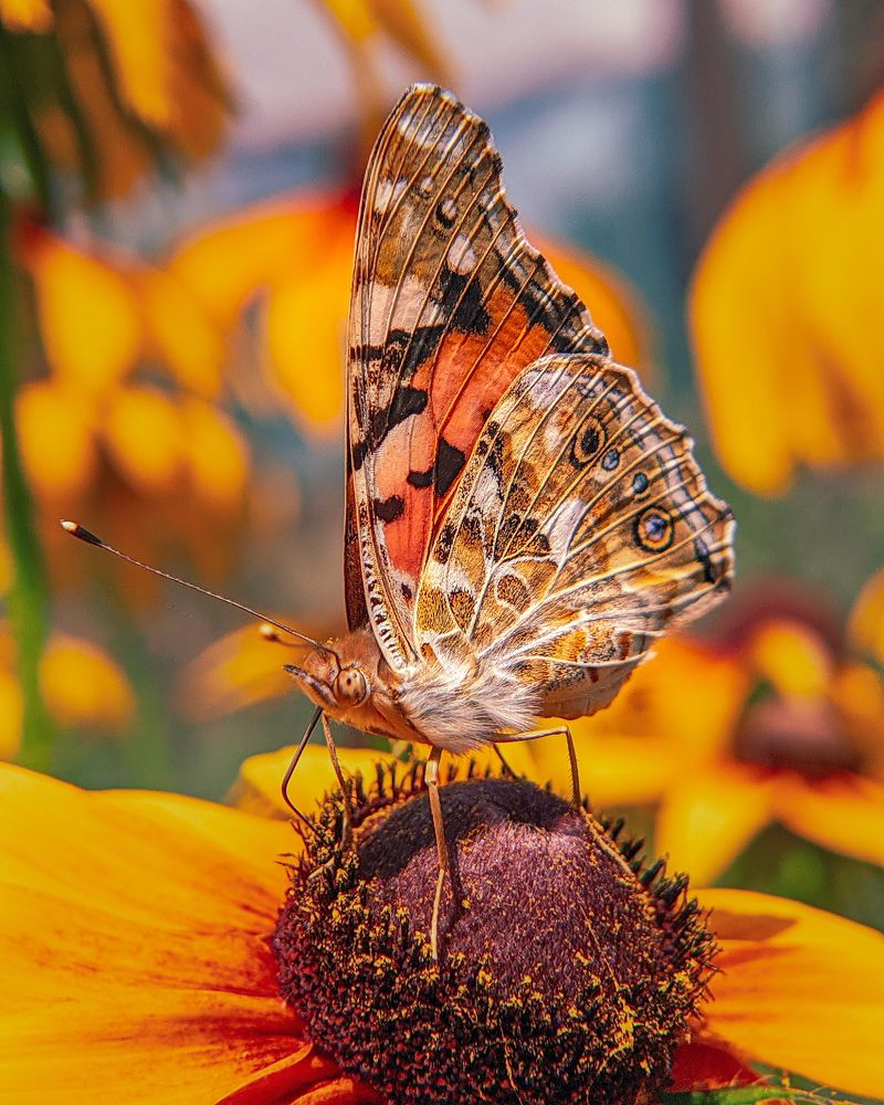 Photograph by Sergey Kolos