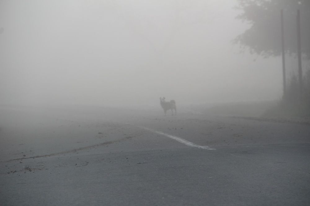 Photograph by Анна Фёдорова