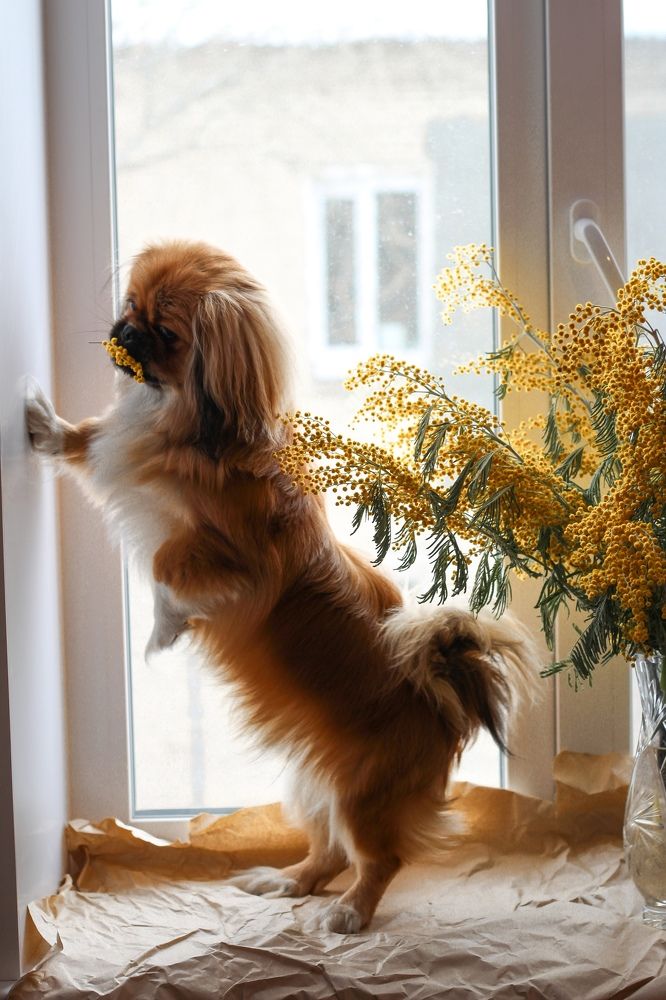 Photograph by Анна Фёдорова