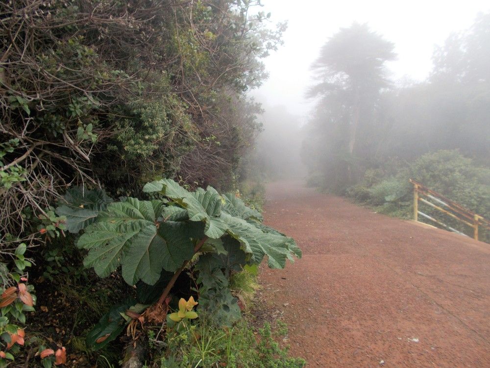 Photograph by José Luis Mendoza Machado