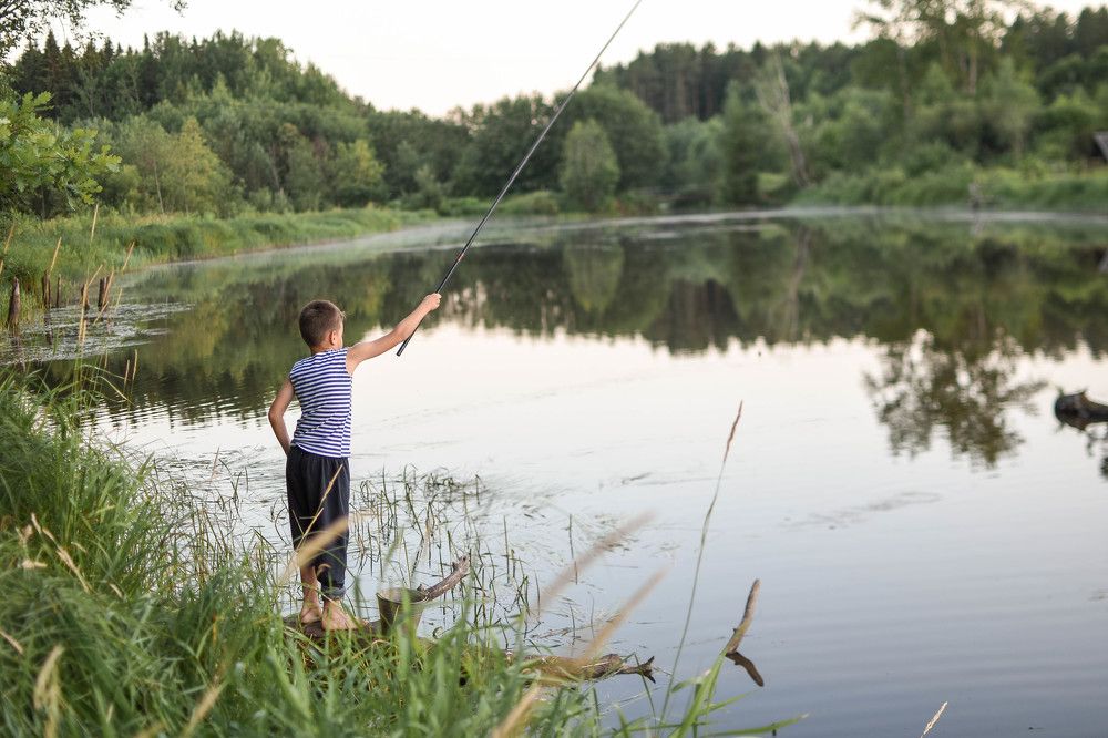 Фотография автора Юлия Старкова