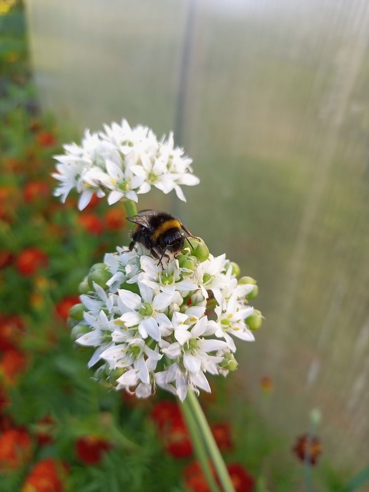 Photograph by Юрий Маслов