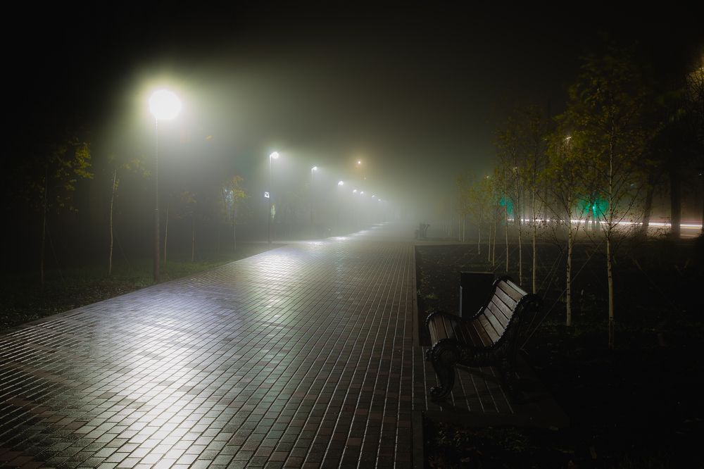 Photograph by Дмитрий Пасынков