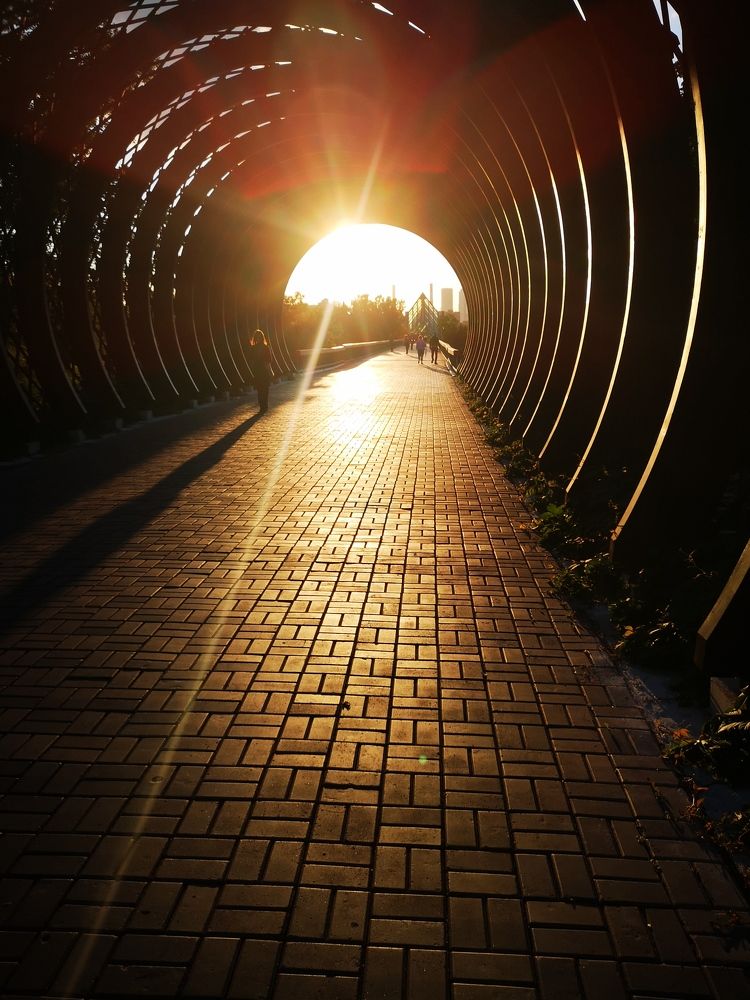 Photograph by Liubov Tarasova