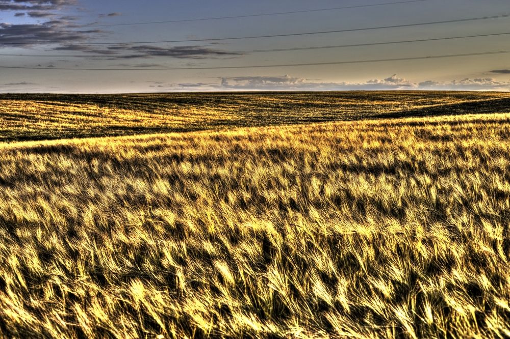 Photograph by Николай