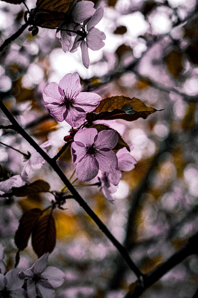 Photograph by Сергей Аникушин