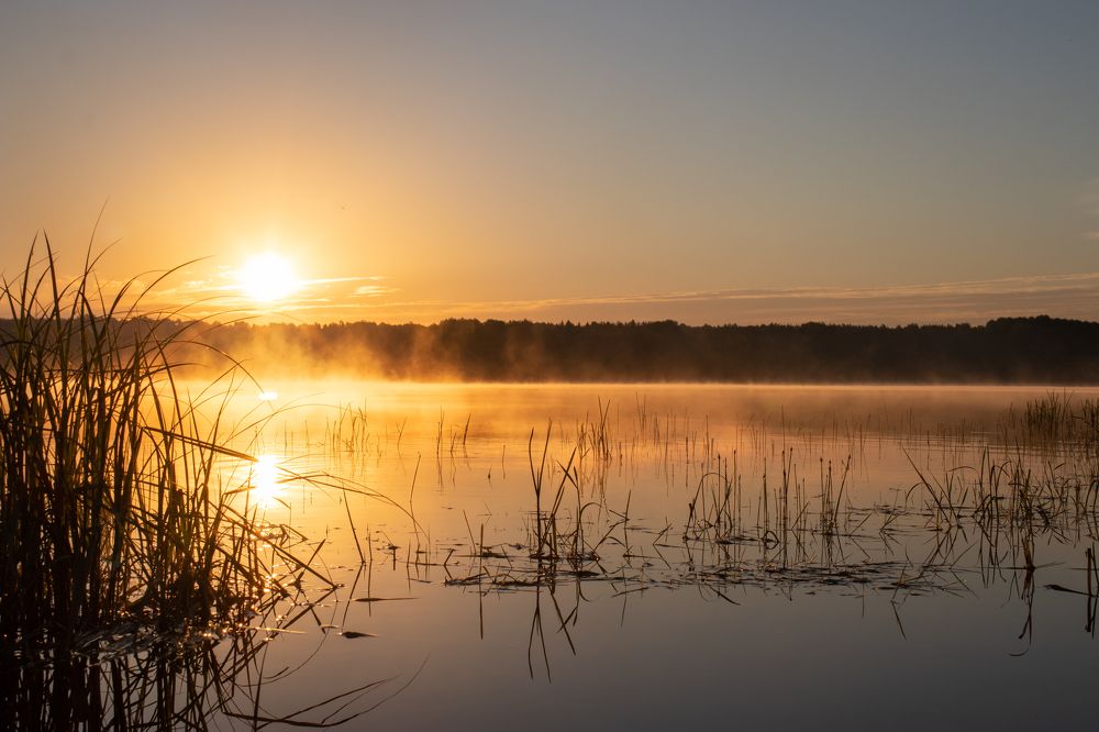 Photograph by Ivan Bazhenov