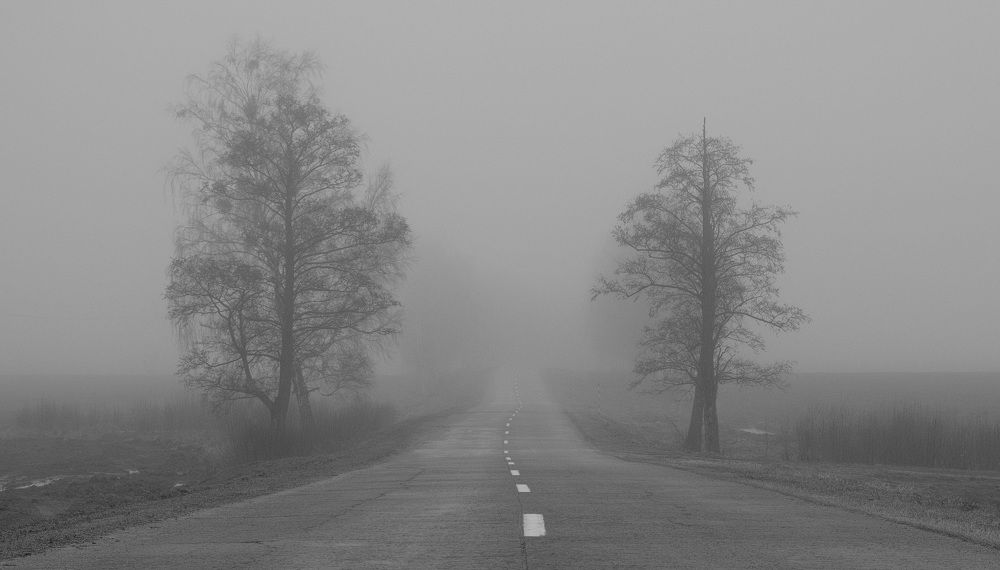 Фотография автора Александр Буренко