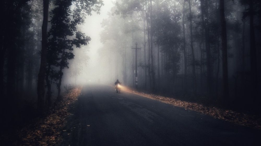 Driving through the fog