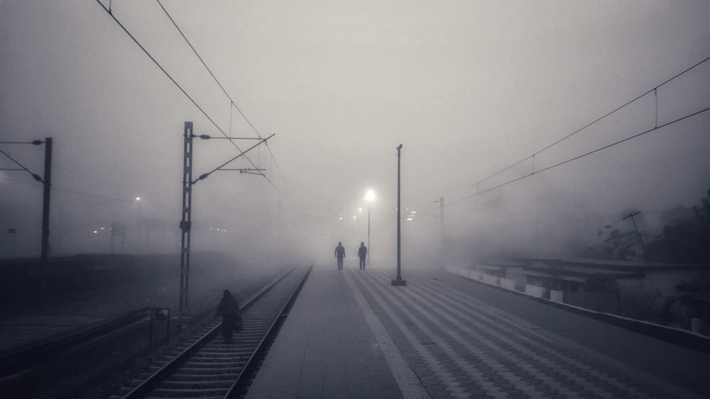 Accompanying the fog