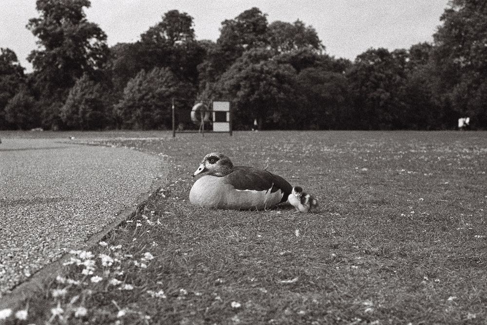 Photograph by Глеб Карханин
