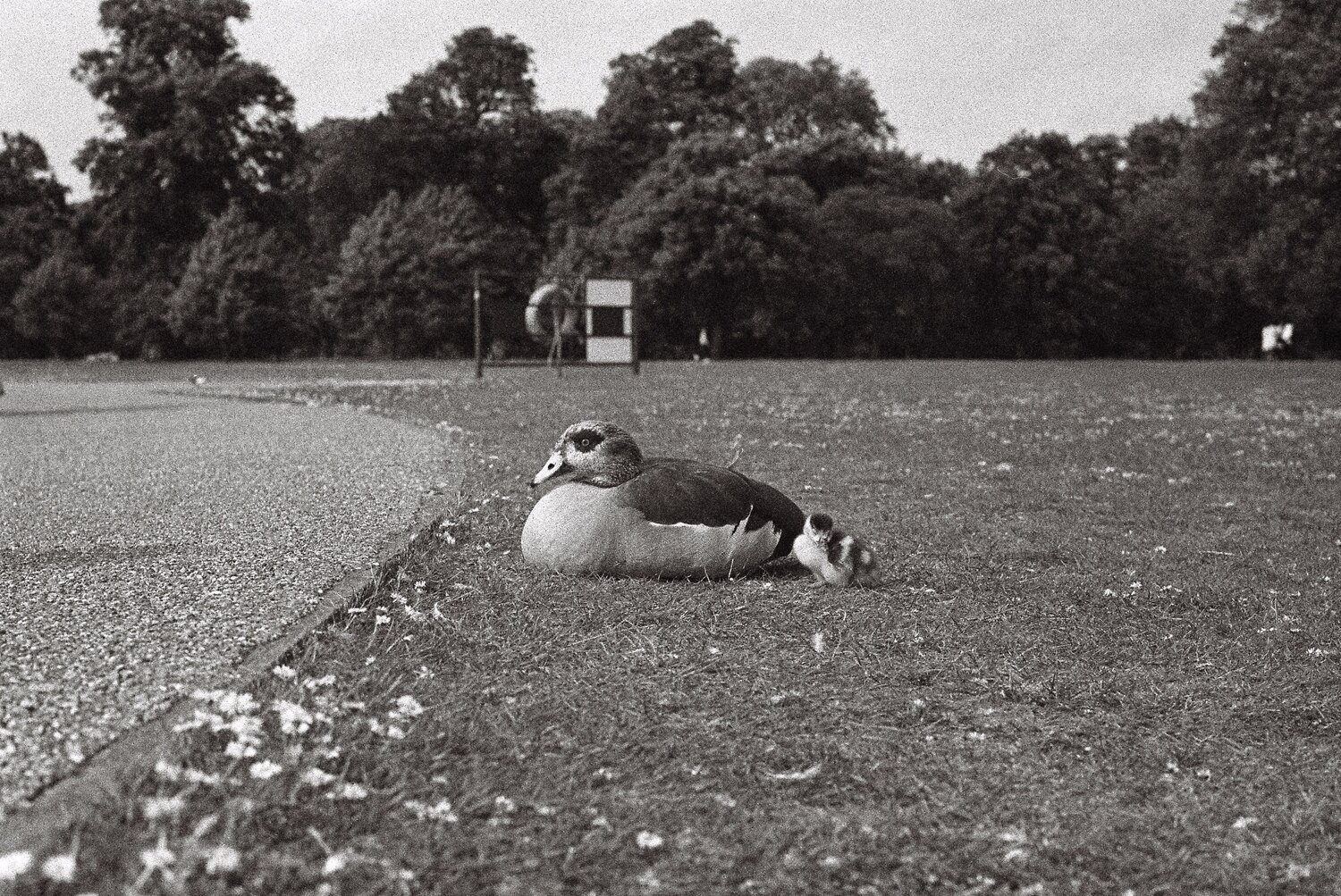 Photo #9325366