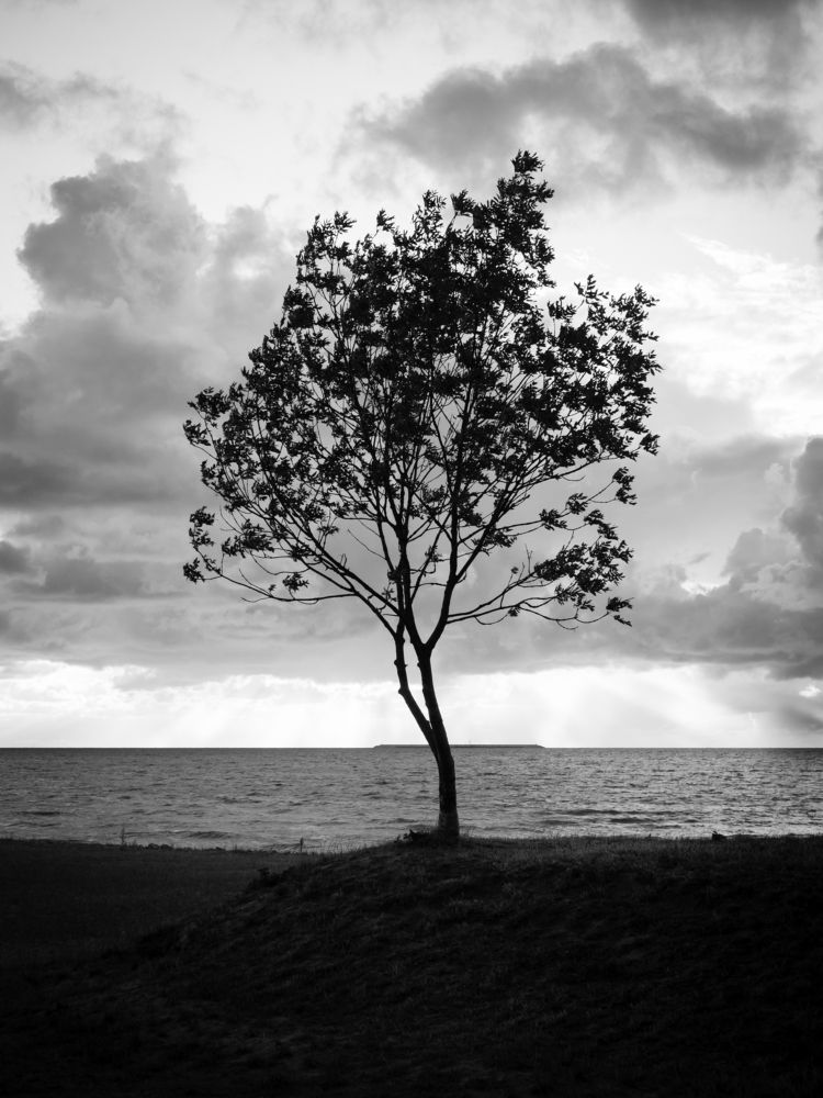 Photograph by Роман Суковач