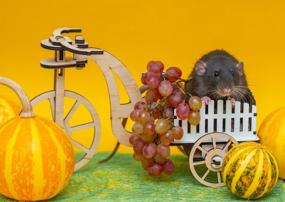 Photograph by Анна Малютина