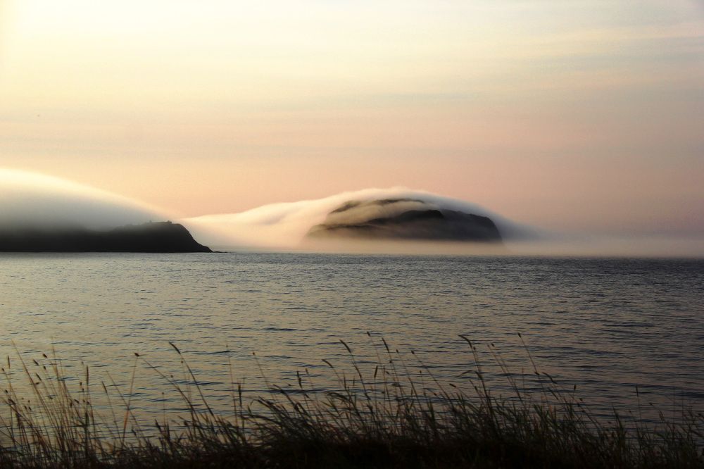 Fox Island Fog