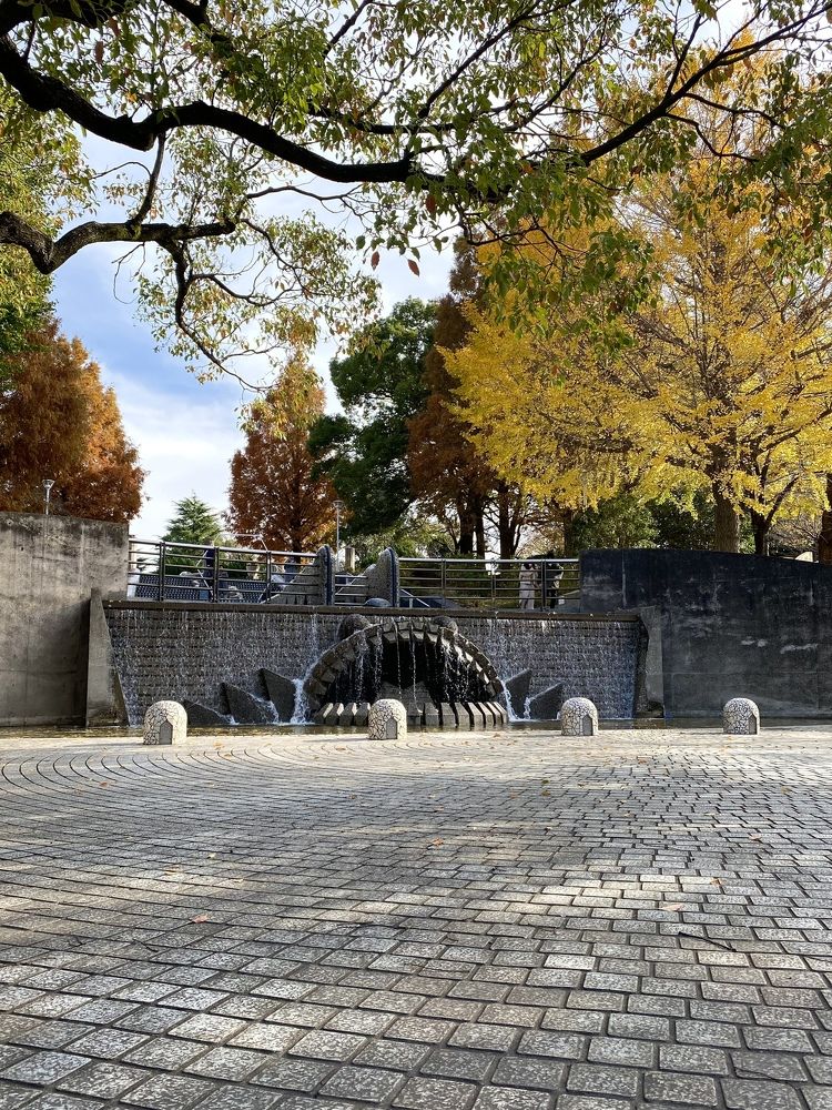 Фотография автора Бакалова Ирина