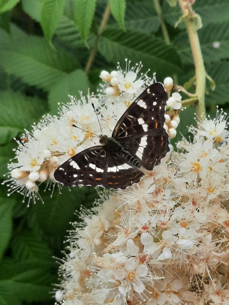Photograph by Ольга Закаблуковская