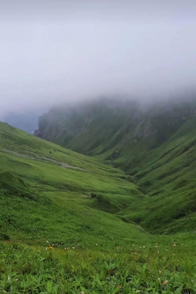 Photograph by Елена Егорова