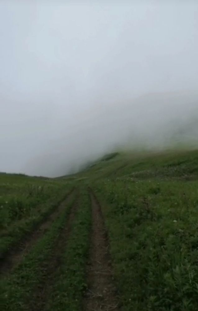 Photograph by Елена Егорова