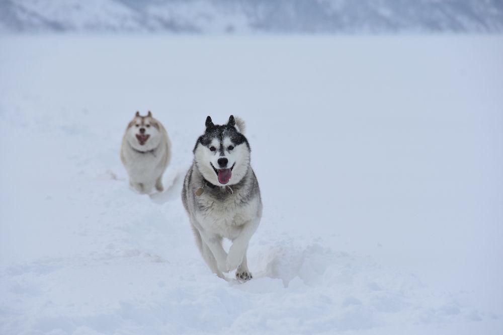 Photograph by Евгений Захаров