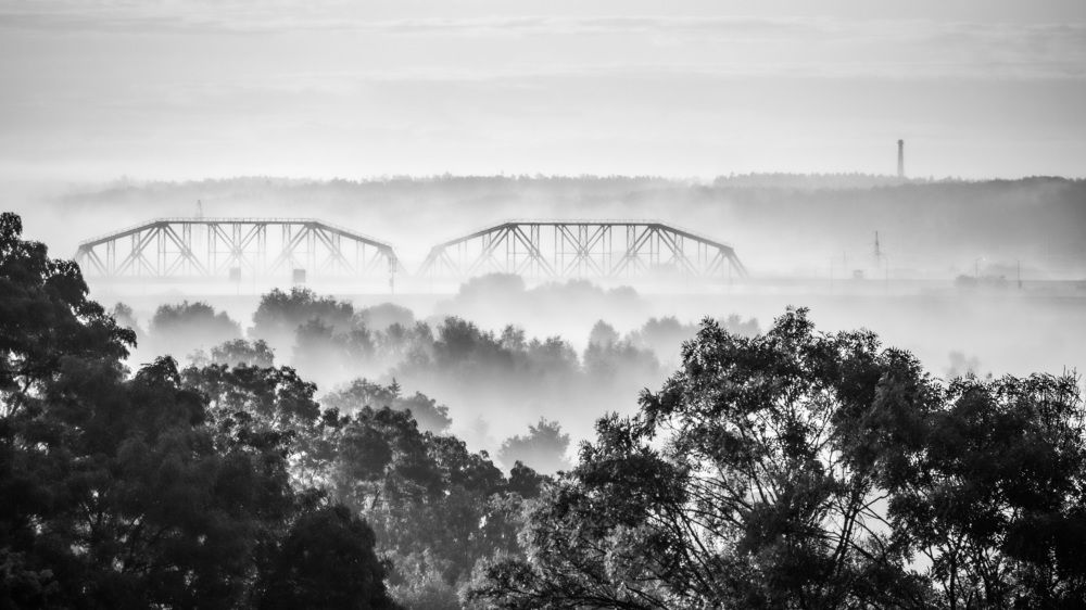 Фотография автора Алексей Борисов
