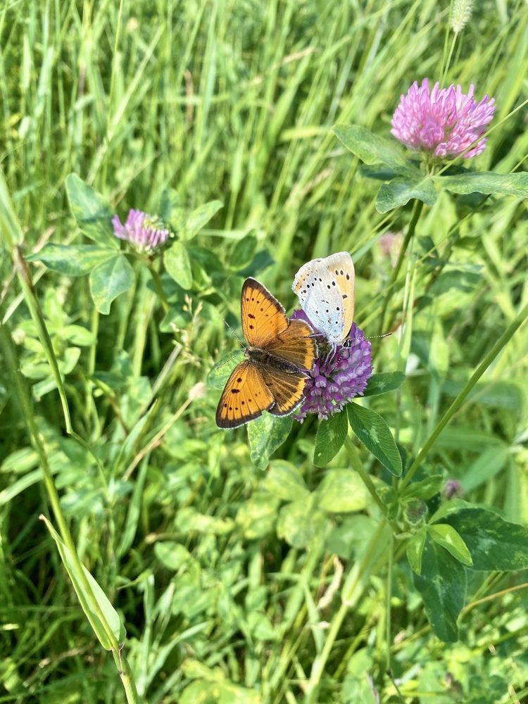 Фотография автора Яврова Татьяна
