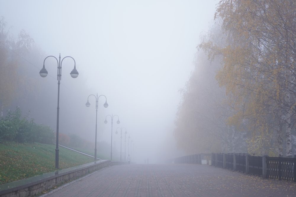 Photograph by Ирина Бабинцева