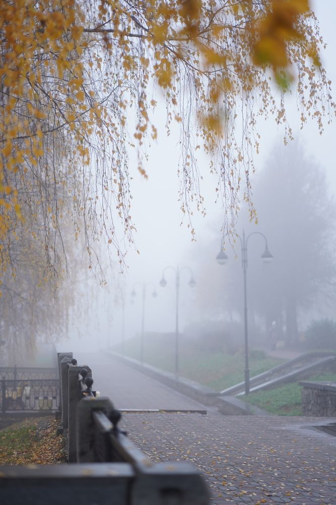 Photograph by Ирина Бабинцева