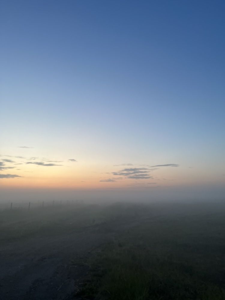 Photograph by Елена Гайдай